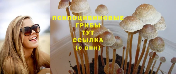 PSILOCYBIN Богородск